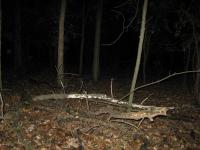 Chicago Ghost Hunters Group investigates Robinson Woods (136).JPG